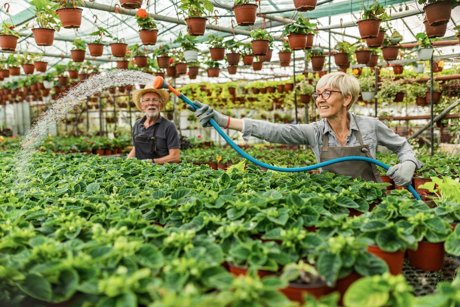 Happy mature woman watering flower with garden hose while working in plant nursery.